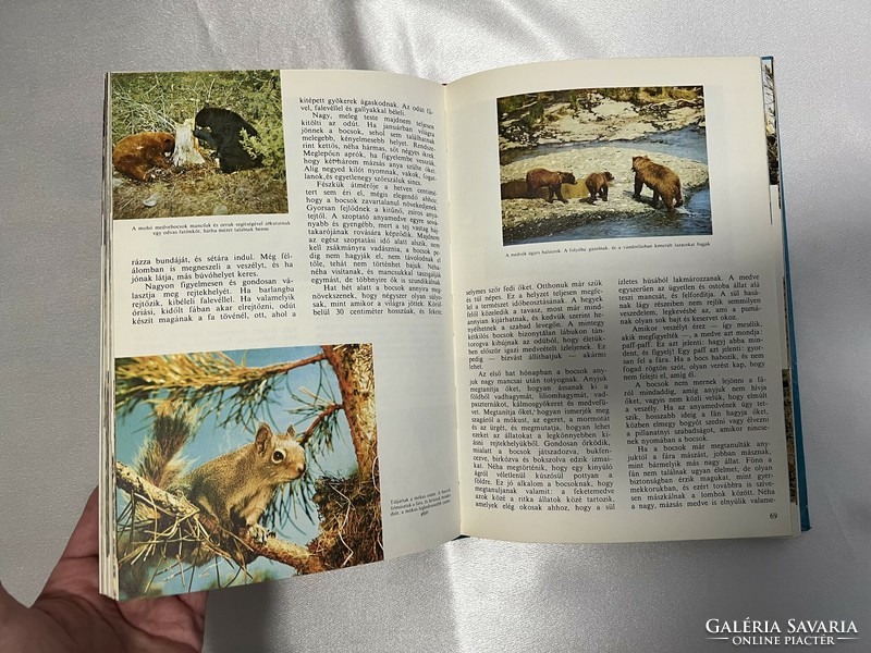 Walt disney: the world of nature book, animal album