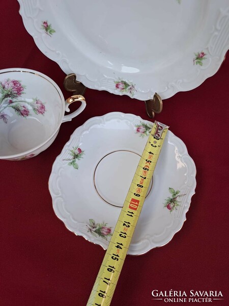 Beautiful schwarzenhammer breakfast Bavarian tea trio set. Floral rosy