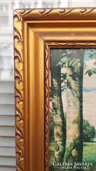 Gold-wood picture frame, internal size 38x28 cm