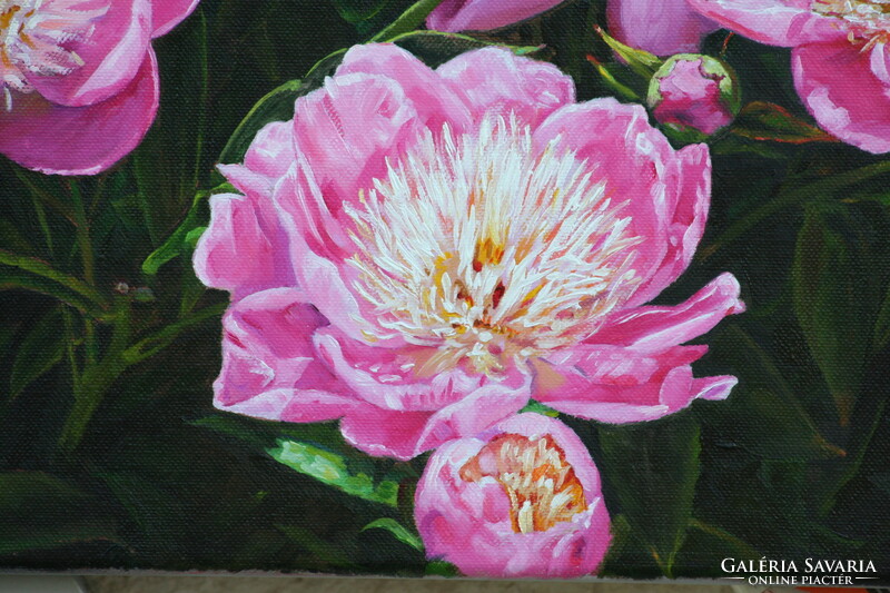 Peony