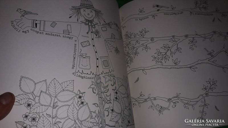 2016.Johanna basford: secret garden - coloring book with fairy tale drawings, according to the pictures, an elf