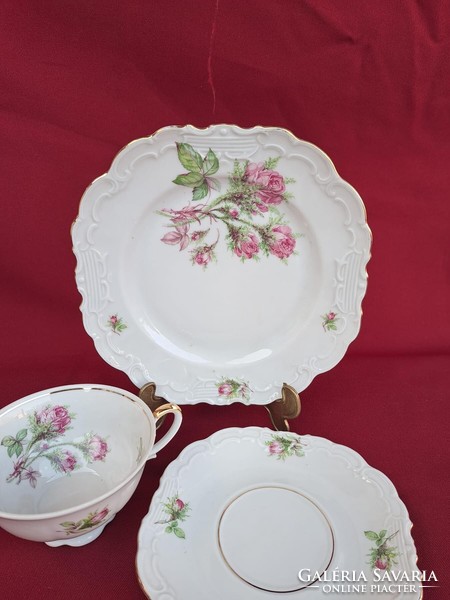 Beautiful schwarzenhammer breakfast Bavarian tea trio set. Floral rosy