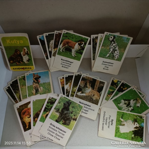 Dog super game - card