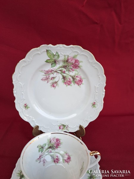 Beautiful schwarzenhammer breakfast Bavarian tea trio set. Floral rosy