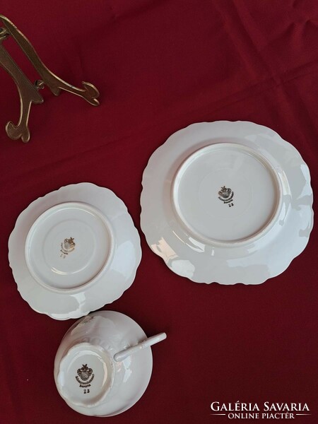 Beautiful schwarzenhammer breakfast Bavarian tea trio set. Floral rosy