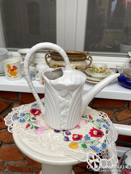 Beautiful white watering can flower plant garden