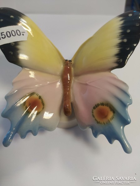 Volkstedt nagy porcelán pillangó
