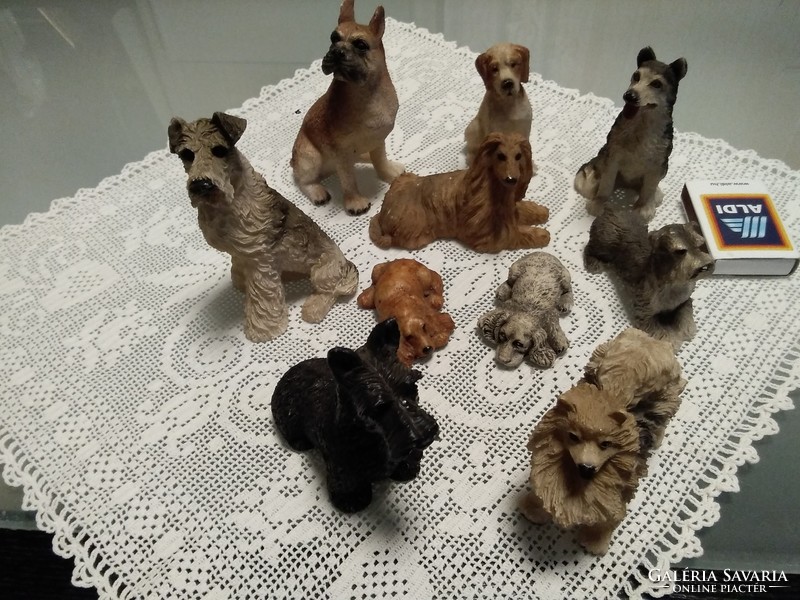 Ten dogs together, this is a collection!