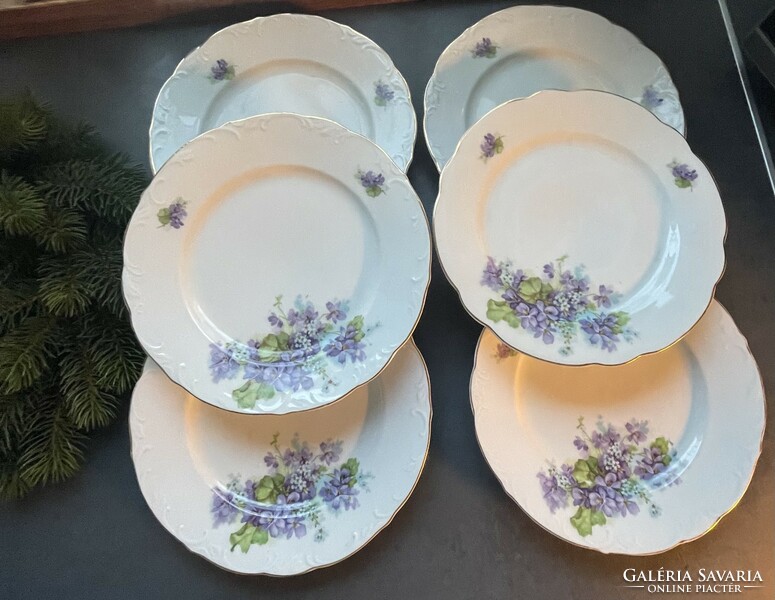 Wonderfully lifelike 6 violet flat plates from h&c schlaggenwald