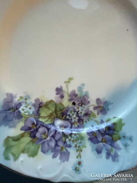 Wonderfully lifelike 6 violet flat plates from h&c schlaggenwald