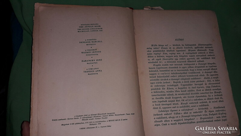 1954. Rudyard Kipling: A dzsungel könyve képes klasszikus könyv a képek szerint IFJÚSÁGI