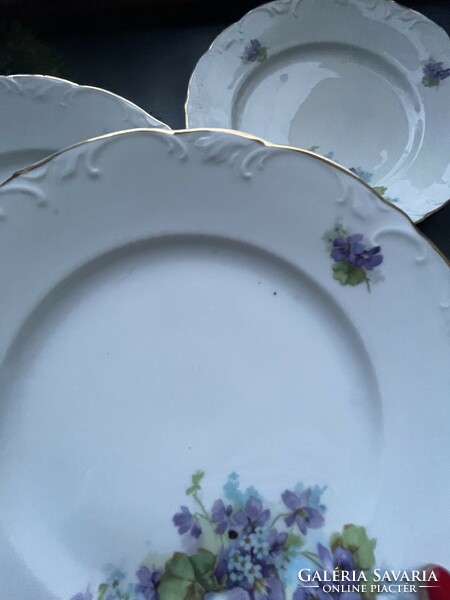 Wonderfully lifelike 6 violet flat plates from h&c schlaggenwald