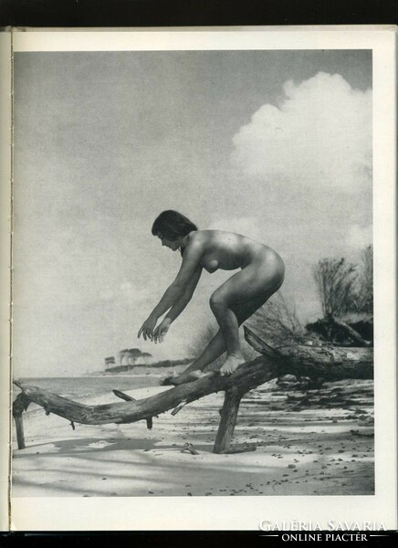 1973.Gerhard Vetter: Tanulmányok a tengerparton német könyv 100 művészi aktfotóval képek szerint