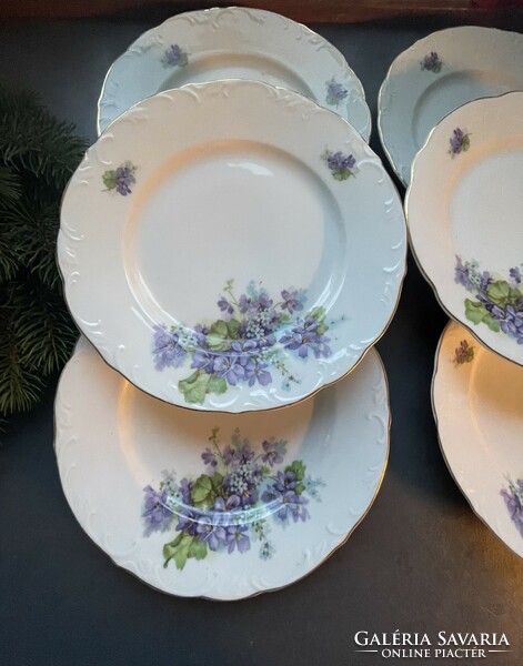 Wonderfully lifelike 6 violet flat plates from h&c schlaggenwald