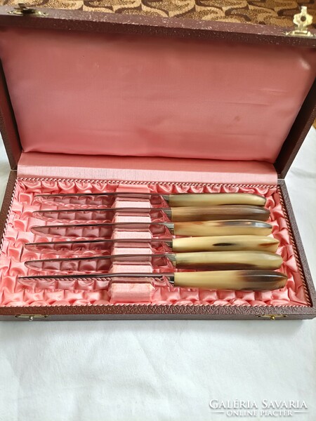 Stainless steel knives in their original box