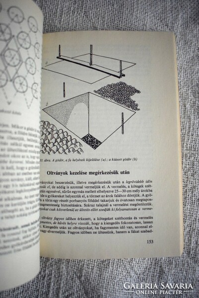 Gyümölcstermesztés ​házi-háztáji kertekben Mohácsy Mátyás 1971 kertész könyv