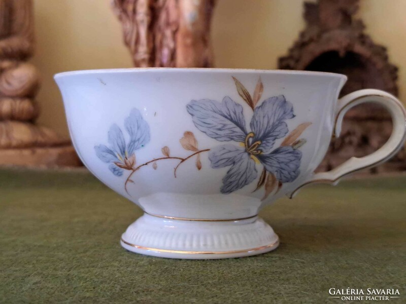 Bavaria Weimar Germany floral tea cup