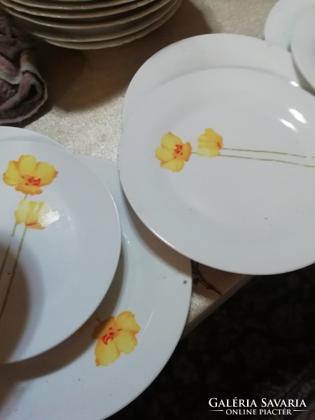 Porcelán tányérok sárga virágokkal . A képeken látható állapotban van