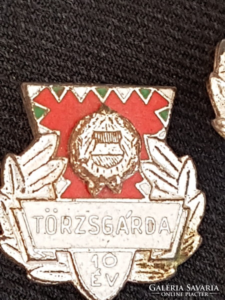 Tribal Guard badges 10-year silver grade