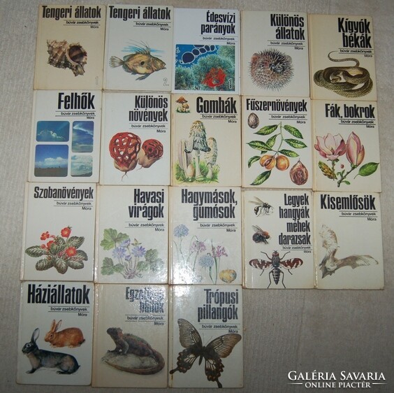 18 diver pocket books