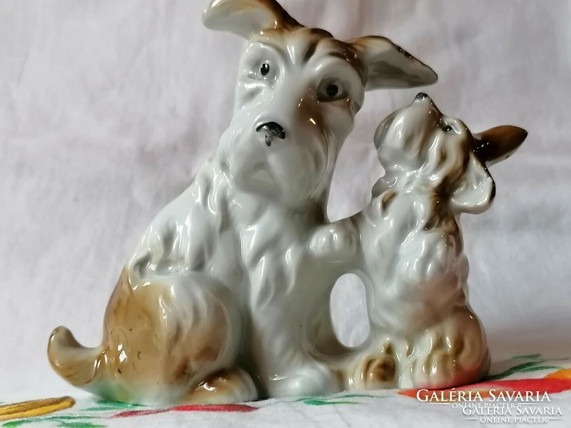 Aranyos porcelán foxi kutyák