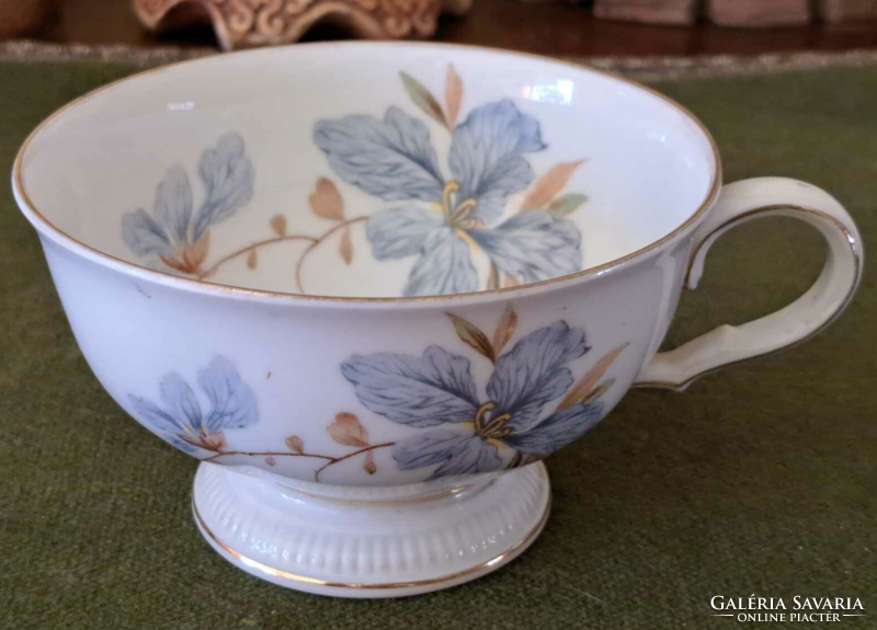 Bavaria Weimar Germany floral tea cup