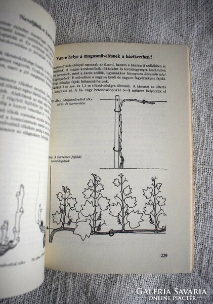 Gyümölcstermesztés ​házi-háztáji kertekben Mohácsy Mátyás 1971 kertész könyv