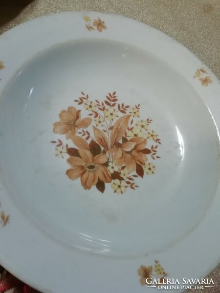 Lowland porcelain plate. It is in the condition shown in the pictures