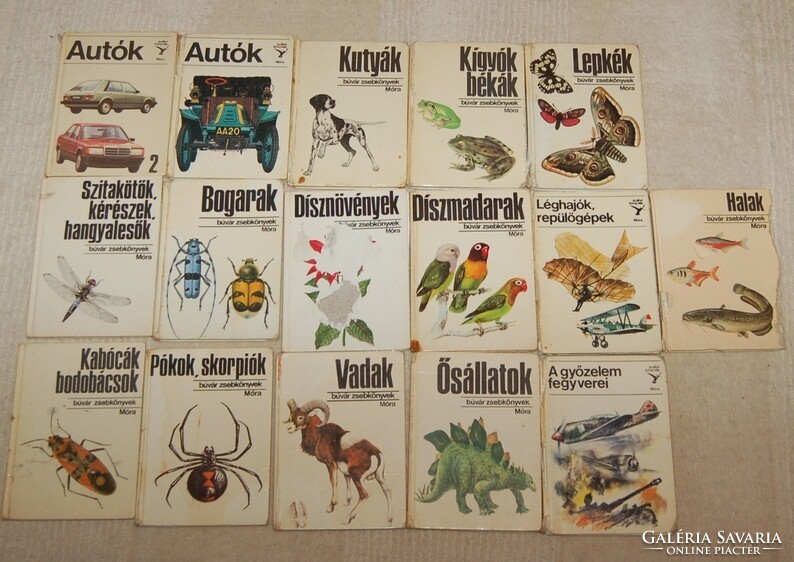 16 Diver and hummingbird books mixed