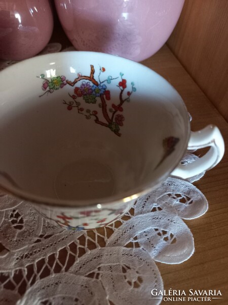 English royal stafford butterfly coffee cup set