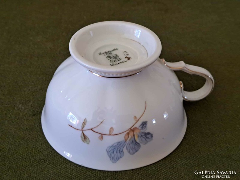 Bavaria Weimar Germany floral tea cup
