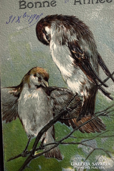Antik dombornyomott Újévi üdvözlő képeslap - tollászkodó verebek  1908ból