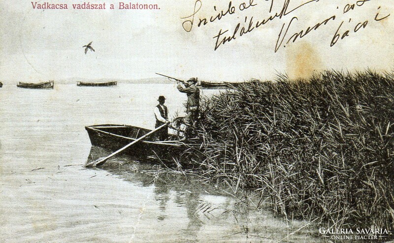 Ba - 162 postal clean reprint postcards from Balaton's past - wild duck hunting