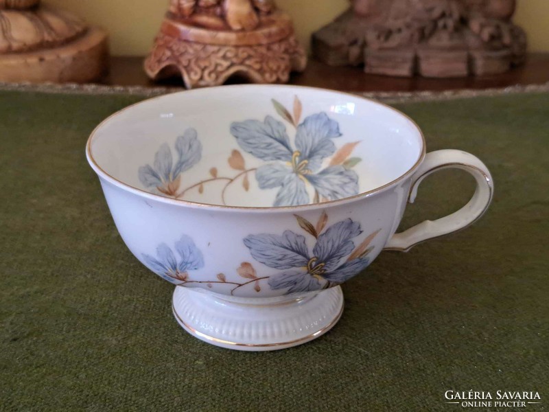 Bavaria Weimar Germany floral tea cup