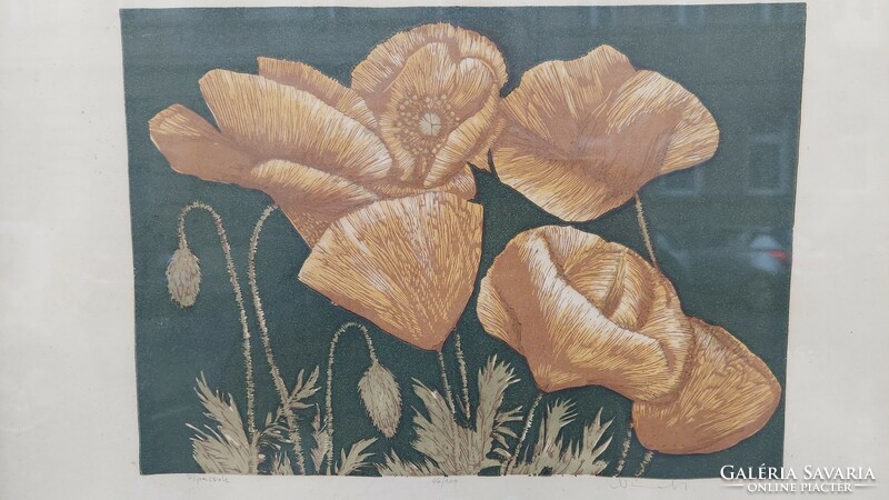 Marked color engraving, still life, poppies