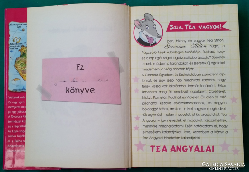 'Tea Stilton: A sárkány kódja > Gyermek- és ifjúsági irodalom > Meseregény