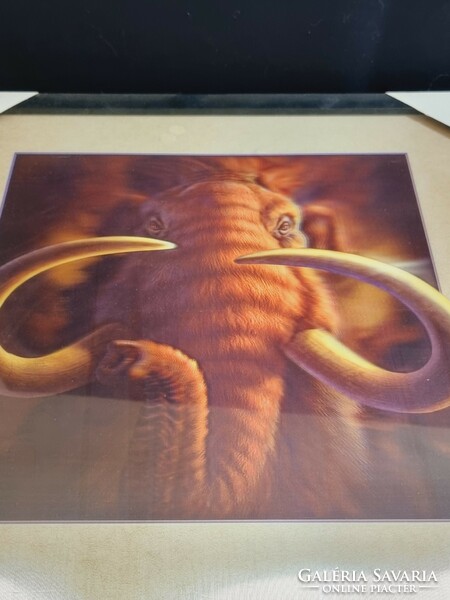 Mamut hologrammos kép 403x430 mm.