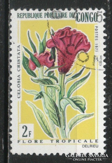 Flower, fruit 0311
