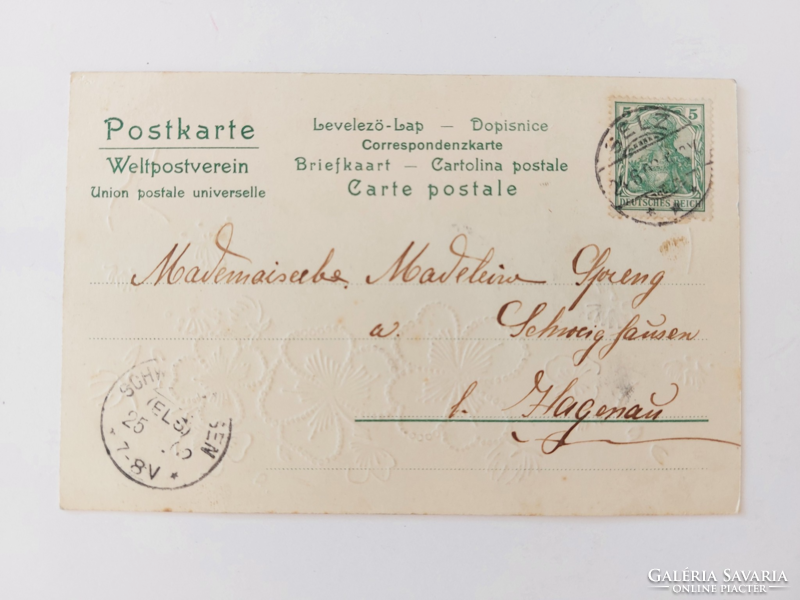 Régi képeslap 1909 dombornyomott levelezőlap búzavirág lóhere