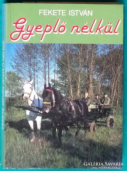 'Fekete István: Gyeplő nélkül > Regény, novella, elbeszélés > Parasztok > Falvak, tanyák, városok