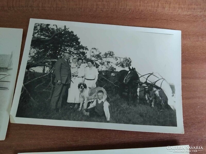 8 db kisméretű fotó, lovaglás, lovasszekér, 1930-40-es évek körüli