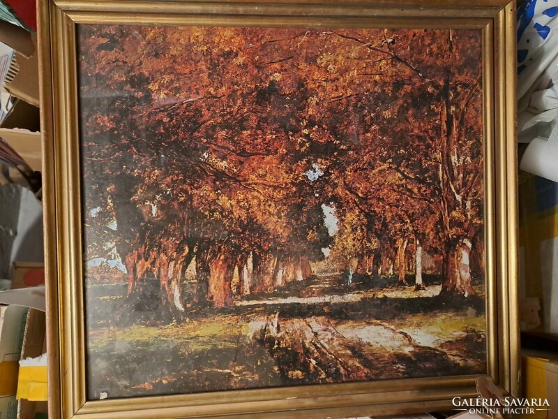 Autumn trees image