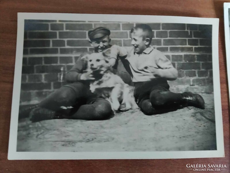 6 db kisméretű fotó, gyerekek, kutya, 1930-40-es évek körüli