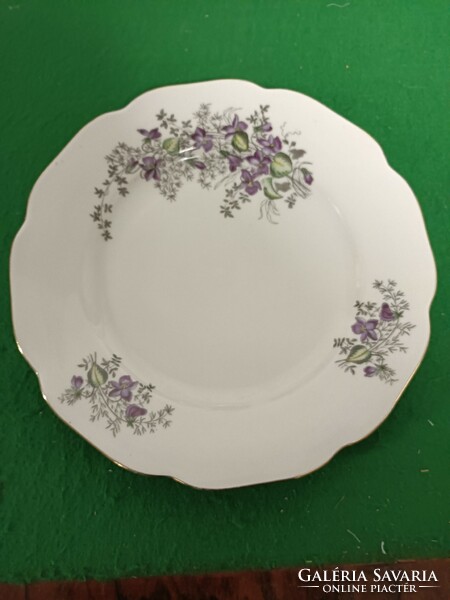 1 violet plate