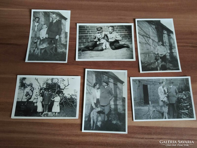 6 small photos, children, dog, circa 1930-40s