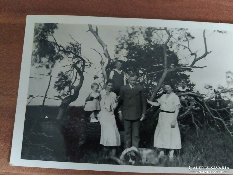 6 small photos, children, dog, circa 1930-40s
