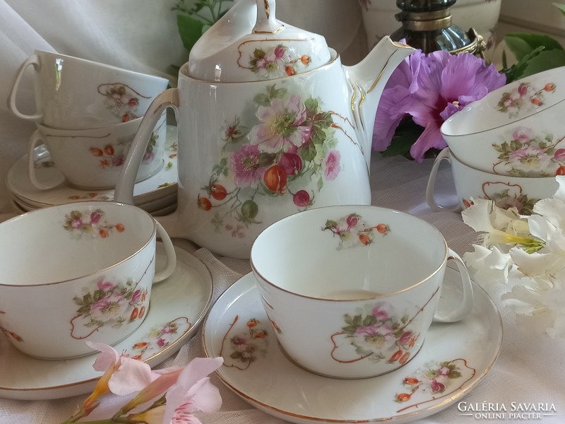 Beautiful antique hand-painted tea coffee set, jug, cups, small plates