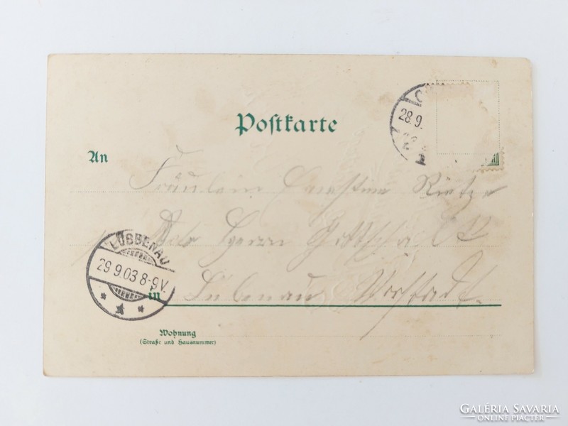 Régi képeslap 1903 dombornyomott levelezőlap lóhere