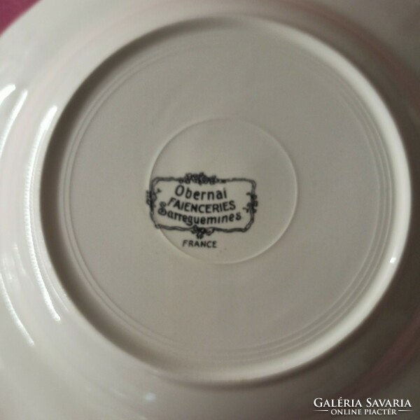 Sarreguemines Obernai spectacular French porcelain deep plates