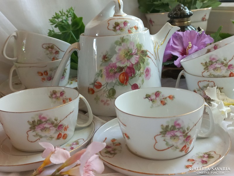 Beautiful antique hand-painted tea coffee set, jug, cups, small plates